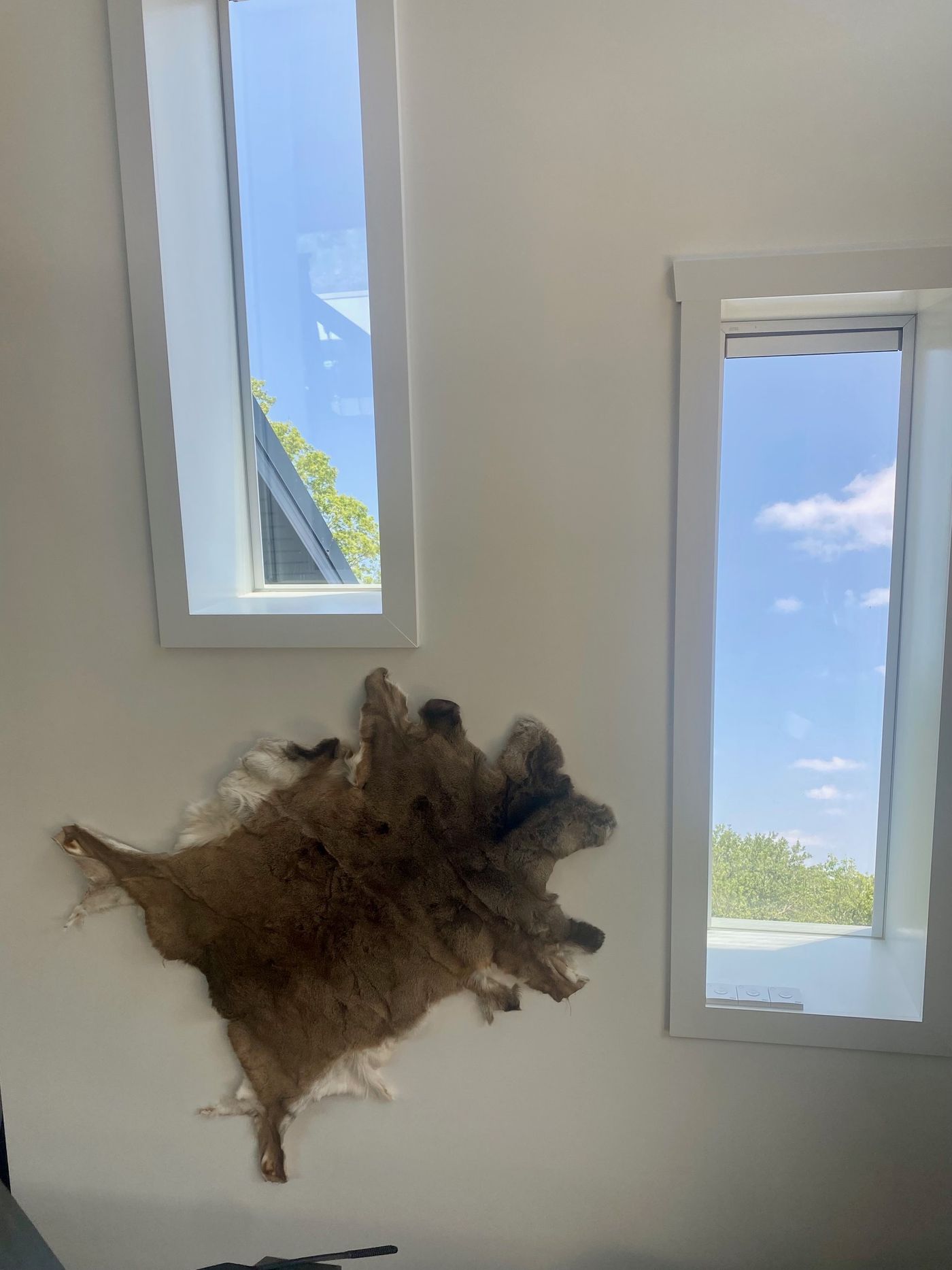 Reflection Ridge — Vaulted windows and hide